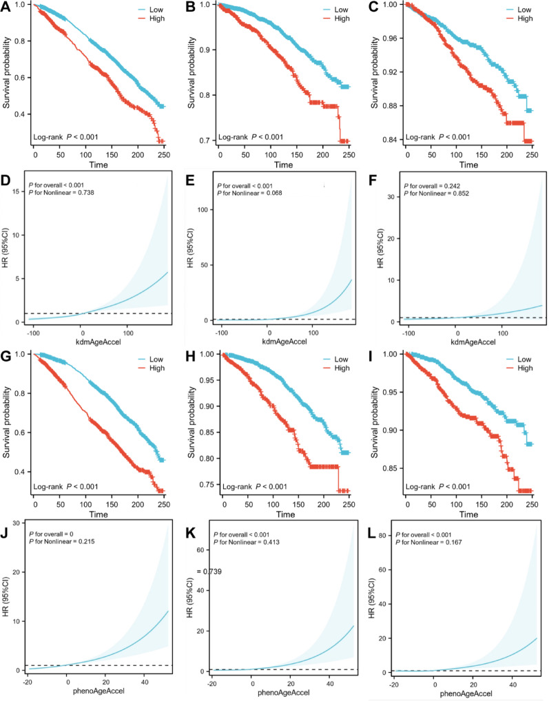 Accelerated biological aging mediates the associations of stress hyperglycemia ratio (SHR) with mortality in type 2 diabetes and obesity (diabesity).