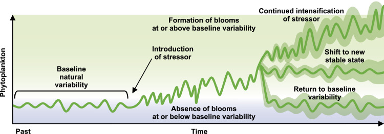 Mapping four decades of lake chlorophyll-a across a continental watershed: A dataset for the lake winnipeg basin (1984-2023).