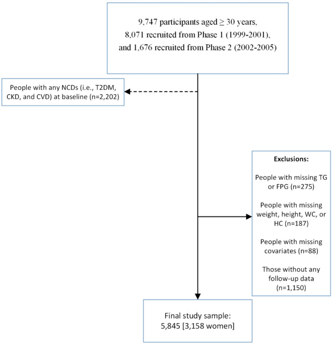 Association of the triglyceride-glucose index and its combination with obesity indices with cardio-renal-metabolic multimorbidity: two decades of follow-up in the Tehran Lipid and Glucose Study.