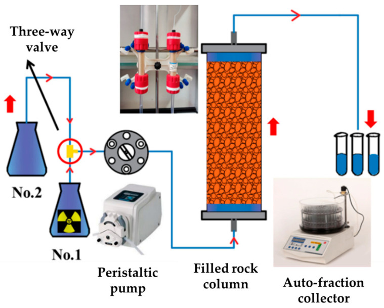 Migration Behavior of Technetium-99 in Granite, Clay Rock, and Shale: Insights into Anionic Exclusion Effects.