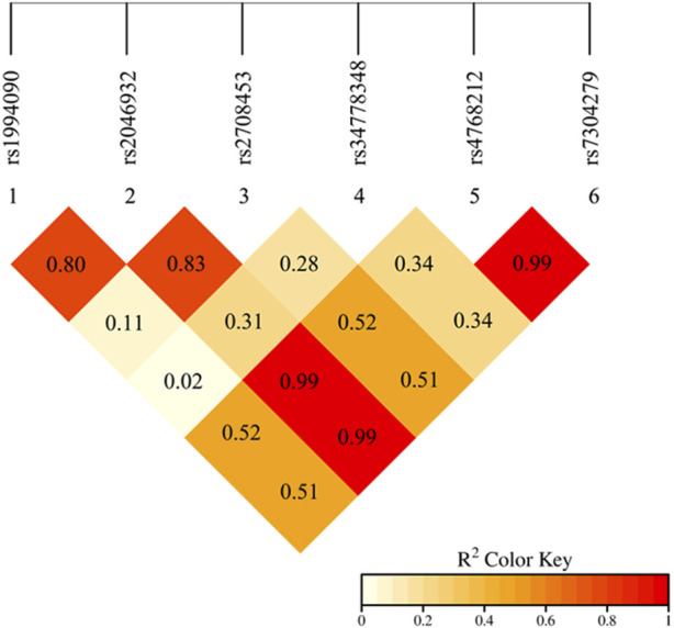 Association between <i>LRRK2</i> gene polymorphisms and Parkinson's disease progression in a Chinese Han population.