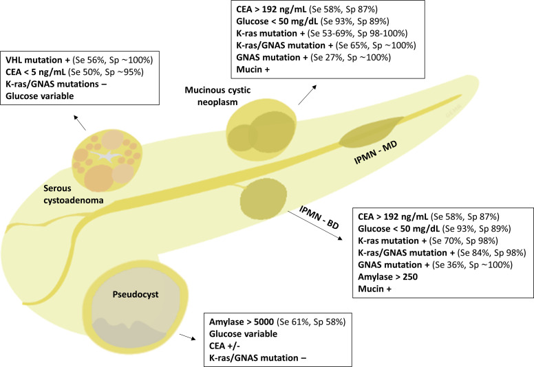 Endoscopic ultrasound for pancreatic cystic lesions: a narrative review.