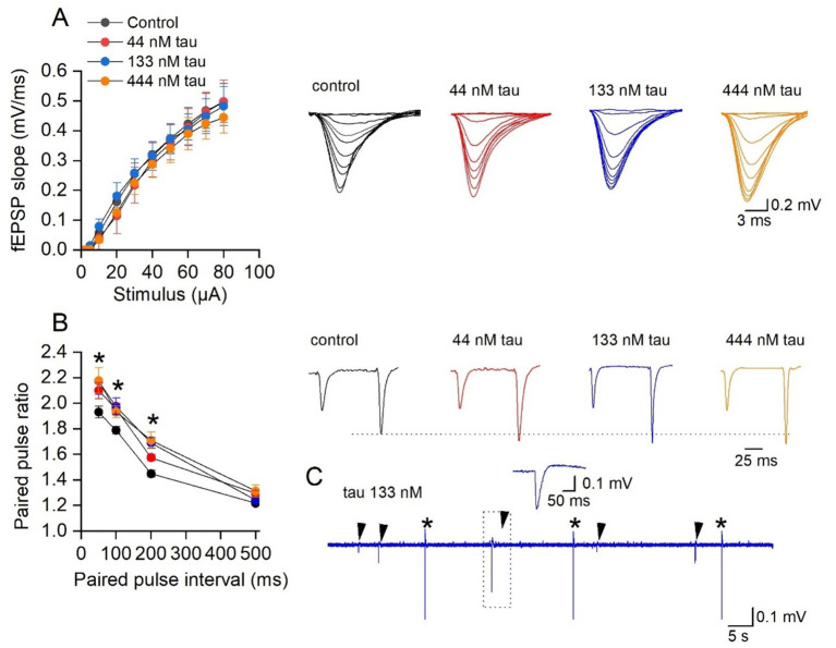 Incubation with tau aggregates increases hippocampal circuit excitability and enhances long-term depression in acute mouse hippocampal slices.