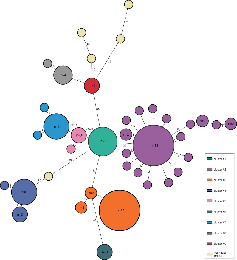 Multi-cluster outbreak of <i>Salmonella</i> Typhimurium sequence type 36 linked to alfalfa sprouts, Sweden, August-November 2024.