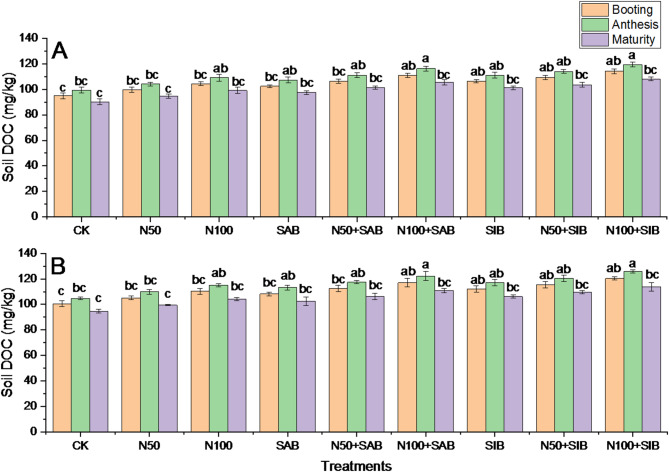 Enhancing N use Efficiency, Increasing Wheat Yield and Reducing Chemical Fertilizer Dependence via Beneficial Bacteria.