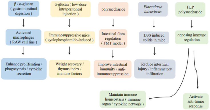 Research Progress on Nutritional Components, Functional Active Components, and Pharmacological Properties of <i>Floccularia luteovirens</i>.