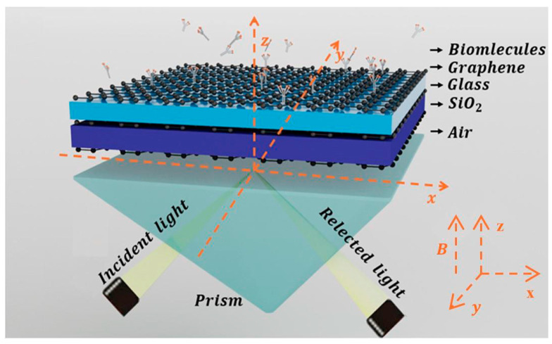 Highly Sensitive THz SPR Biosensor Based on Graphene-Coupled Prism Otto Structure.