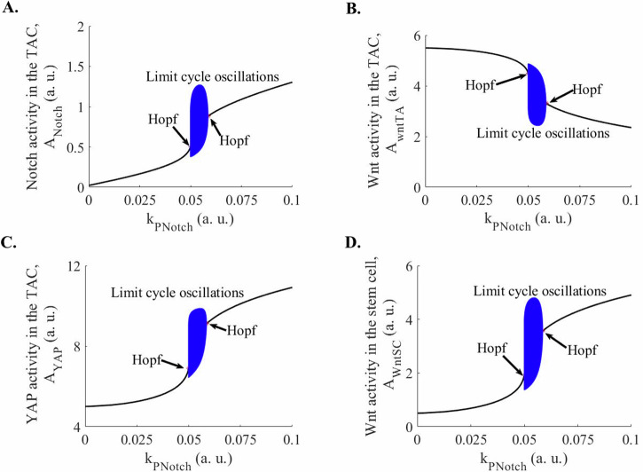 On the mechanisms of epidermal stemness and differentiation.