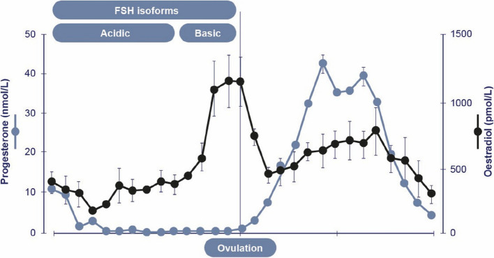 Integrating impact of FSH isoforms, androgens and inhibin-B on follicular development based on a two-phase model of the follicular phase.