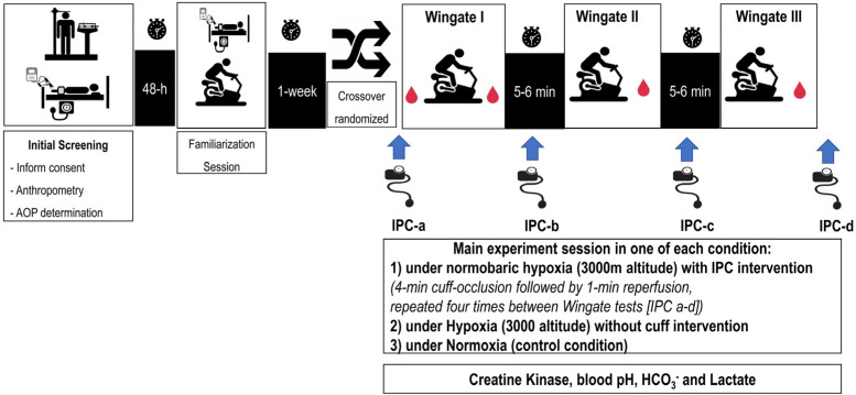 Ischemic Preconditioning Attenuates the Decline in Repeated Anaerobic Performance Under Simulated Altitude: A Randomized Crossover Study.