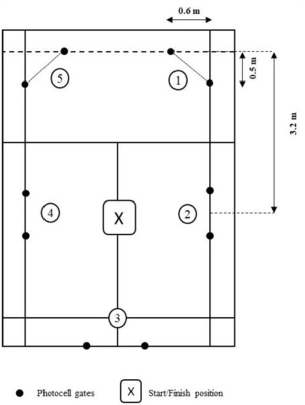 The effects of an 8-week complex training program on lower limb explosive power and movement agility in adolescent female badminton players.