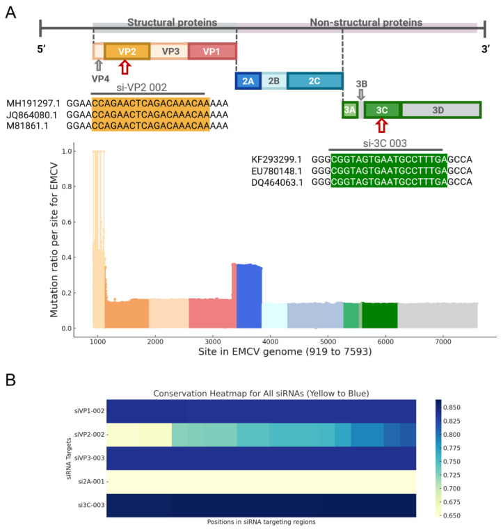 An RNAi Therapy That Attenuates Multi-Organ Viremia and Improves Animal Survival in a Lethal EMCV Challenge Model.