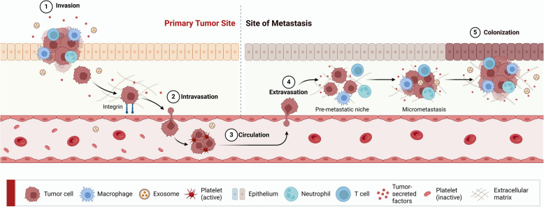 Unraveling the molecular-pathological characteristics and cellular complexity of the tumor immune microenvironment in metastatic non-small cell lung cancer.