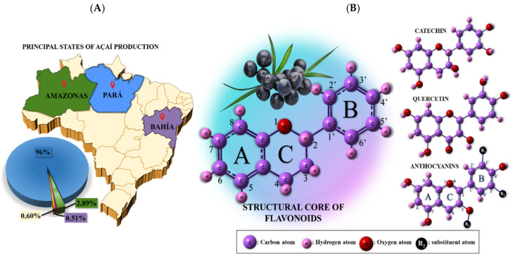 Electrochemical Measures for Determining the Total Antioxidant Capacity of Açaí Pulp (<i>Euterpe oleracea</i>) at a Glassy Carbon Electrode.