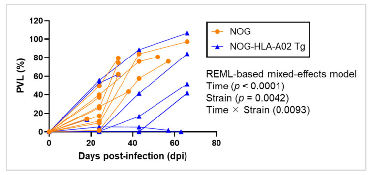 An HTLV-1-Infected Humanized Mouse Model Expressing HLA-A*02:01 Demonstrates Effective CTL-Mediated Suppression of HTLV-1.