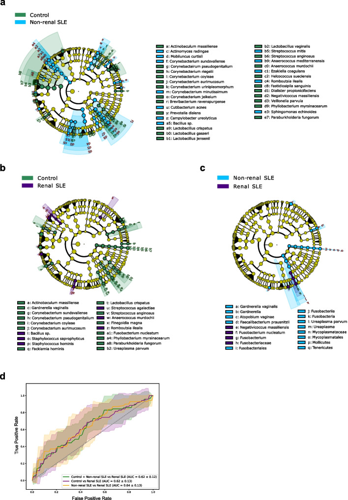 Identification of urinary bacterial genes as biomarkers for non-invasive diagnosis of renal lupus.