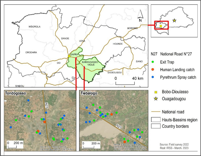 No evidence of Wuchereria bancrofti infection in Anopheles species after 10 years without mass drug administration: a molecular xenomonitoring study in Hauts-Bassins, Burkina Faso.