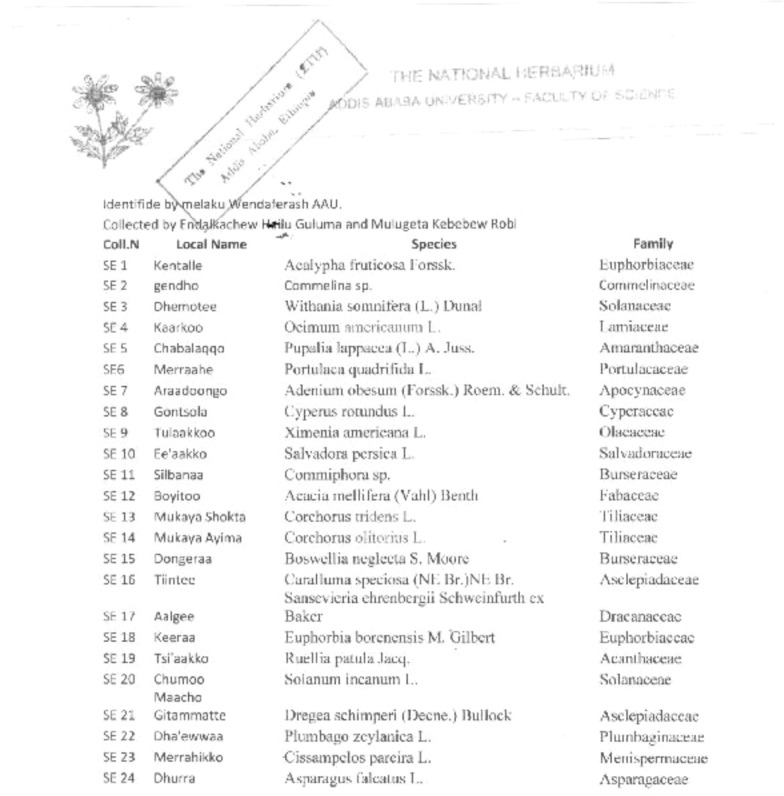 Indigenous medicinal knowledge and therapeutic practices of the endangered Ongota/Birale of Southwest Ethiopia.