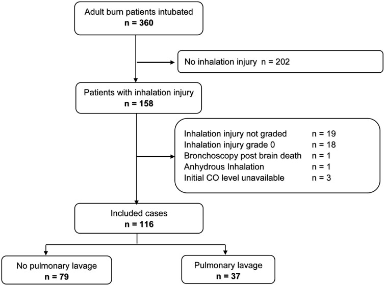 Dilution Is Not Always the Solution: A Retrospective Study of Pulmonary Lavage in Inhalation Injury.