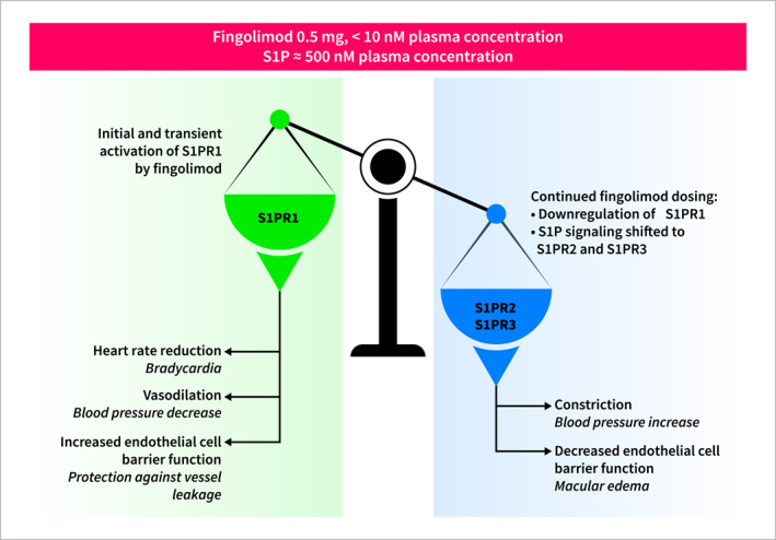 Sphingosine-1-Phosphate Receptor Modulators for the Treatment of Ulcerative Colitis: A Narrative Review Focusing on Safety.