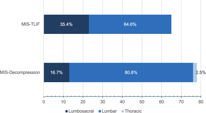 Reporting the first minimally invasive spine surgery series in Nigeria: a descriptive single-center retrospective cohort study.