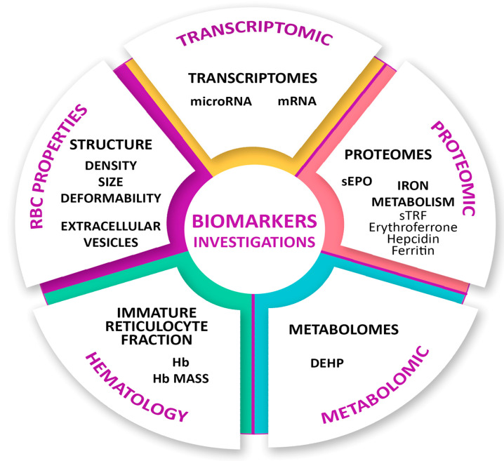 Personalized Therapeutic Advances in Erythropoietin Signaling: From Anemia Management to Extensive Clinical Applications.