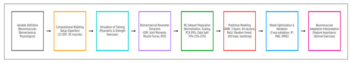 Computational Analysis of Neuromuscular Adaptations to Strength and Plyometric Training: An Integrated Modeling Study.