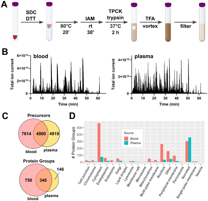 Development and validation of a streamlined workflow for proteomic analysis of proteins and post-translational modifications from dried blood.