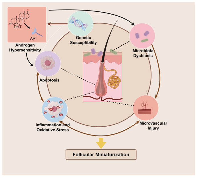 Novel Strategies for Androgenetic Alopecia Therapy: Integrating Multifunctional Plant Extracts with Nanotechnology for Advanced Cutaneous Drug Delivery.