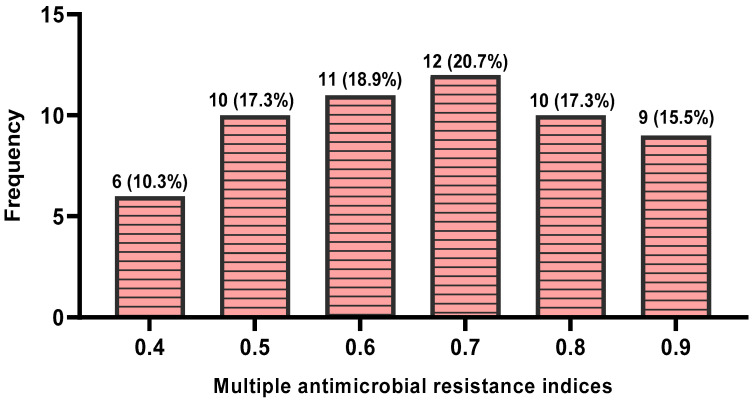 <i>Campylobacter</i> Colonisation of Poultry Slaughtered at Nigerian Slaughterhouses: Prevalence, Antimicrobial Resistance, and Risk of Zoonotic Transmission.