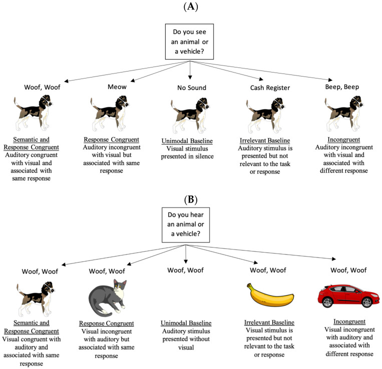 Modulating Multisensory Processing: Interactions Between Semantic Congruence and Temporal Synchrony.