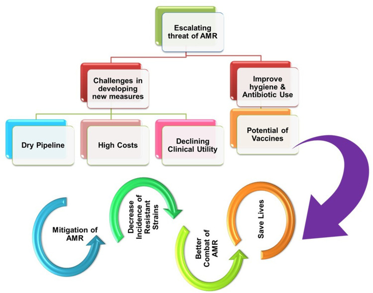 Vaccines as Potential Frontliners Against Antimicrobial Resistance (AMR): A Focused Review.