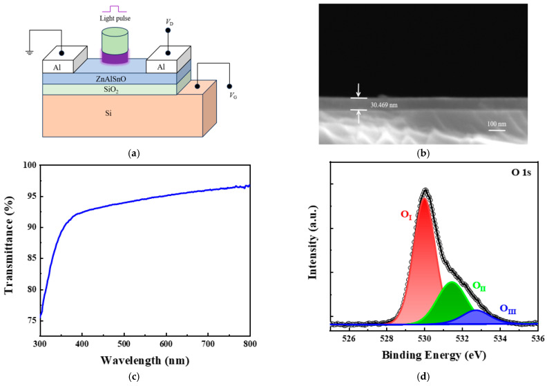Neural Synaptic Simulation Based on ZnAlSnO Thin-Film Transistors.