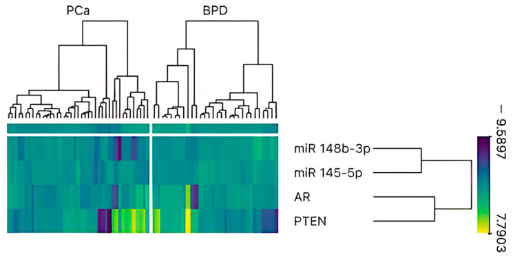 miR-145-5p and miR-148b-3p Expression Is Inversely Associated with Pten Expression in Prostate Pathologies.