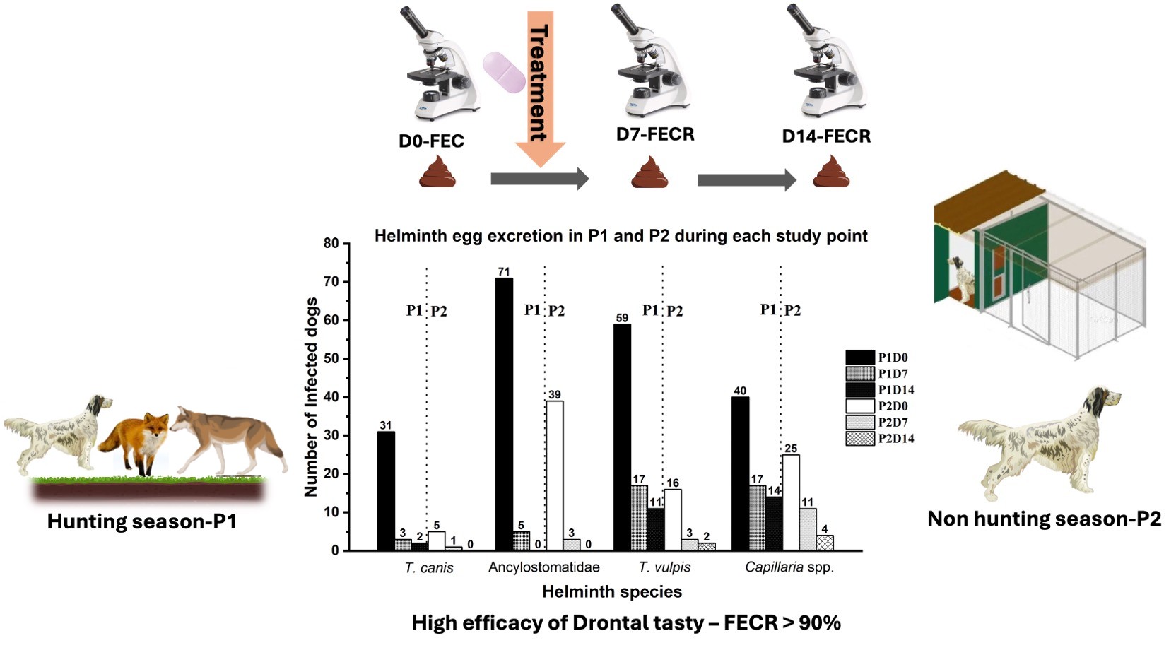 Field efficacy of Febantel, Pyrantel embonate and Praziquantel (Drontal® Tasty) against naturally acquired intestinal helminths of hunting dogs in southern Italy.