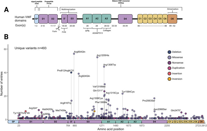 Rewriting the script: gene therapy and genome editing for von Willebrand Disease.