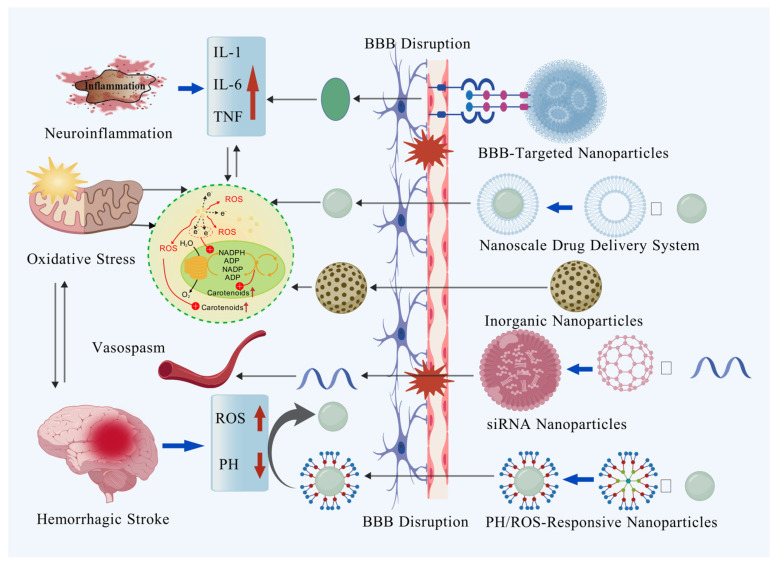 Multiple Applications of Nanomaterials in the Diagnosis and Treatment of Hemorrhagic Stroke.