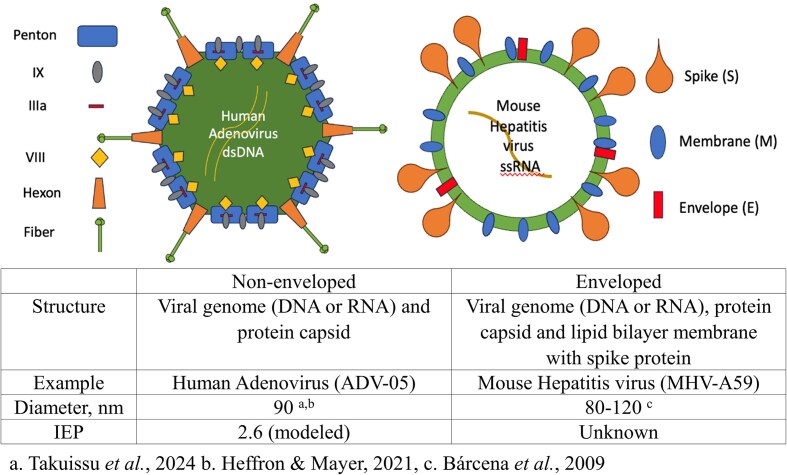 Ionic surfactants alter virus surface properties and electrostatic interactions in aqueous systems.