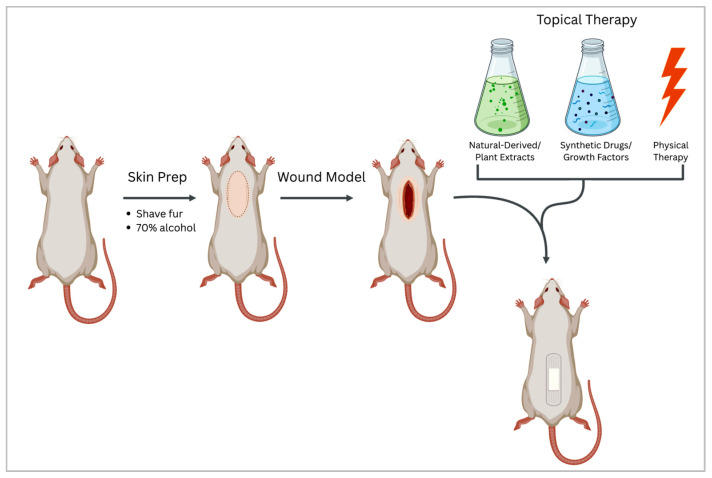 Biological Models for Evaluating Hydrogel-Based Formulations in Wound Healing.