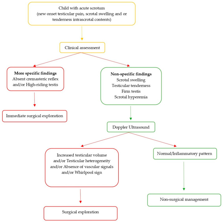 Utility of Clinical Signs in the Diagnosis of Testicular Torsion in Pediatric Age: Optimization of Timing in a Time-Sensitive Pathology.