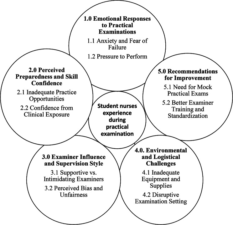 Lived experiences of student nurses during practical examinations in Ghana: a phenomenological study.