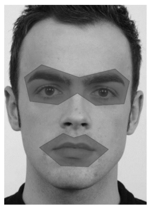Gaze and Evaluative Behavior of Patients with Borderline Personality Disorder in an Affective Priming Task.