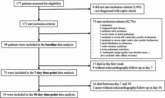 Sepsis-induced myocardial dysfunction diagnosed with strain versus non-strain echocardiography parameters: incidence, evolution and association with prognosis.