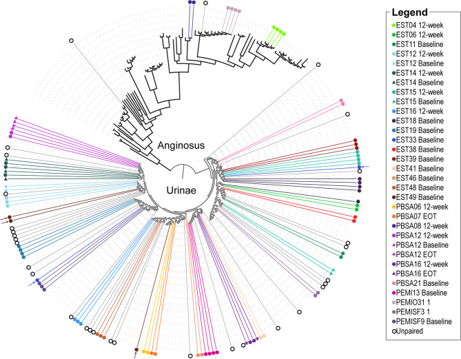Streptococcus anginosus of the urogenital tract: evidence of the same strain across anatomical sites of the same females.