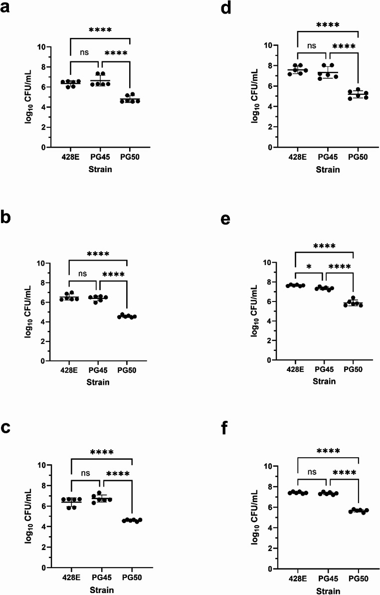 Mycoplasma leachii strain PG50 shows reduced adherence and invasion compared to M. bovis strains 428E and PG45.