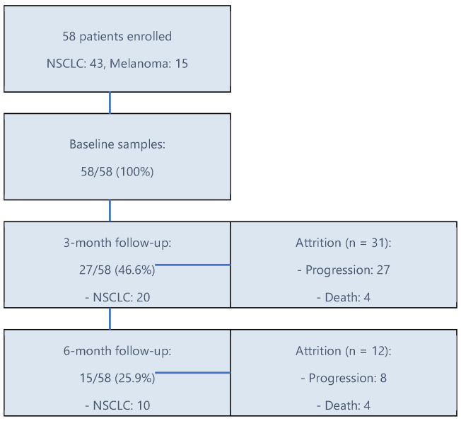 Serum TNF -α, IL-10 and IL-2 Trajectories and Outcomes in NSCLC and Melanoma Under Anti-PD-1 Therapy: Longitudinal Real-World Evidence from a Single Center.