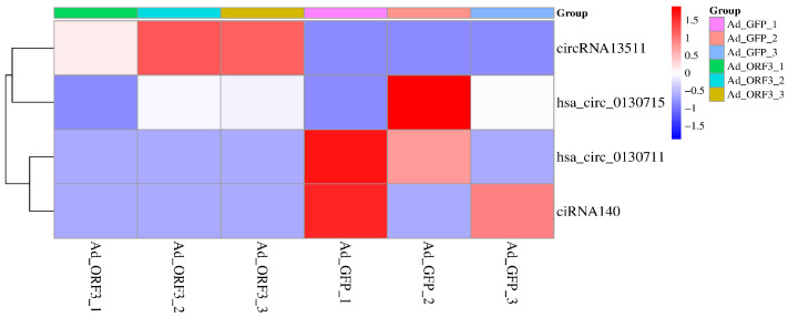 Identification of Riboflavin Metabolism Pathway in HepG2 Cells Expressing Genotype IV Swine Hepatitis E Virus ORF3 Protein.