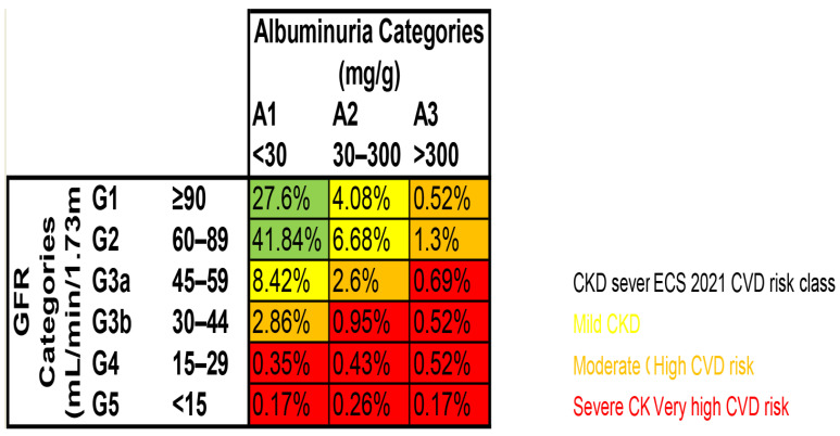 Impairment of Kidney Function in Patients with Chronic Coronary Syndromes.