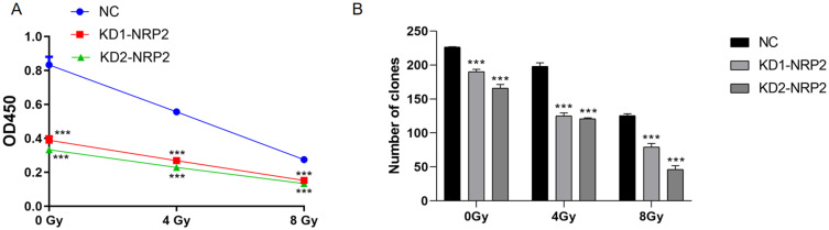 Neuropilin-2 Mediates Radioresistance in Nasopharyngeal Carcinoma via Wnt/β-Catenin Pathway.