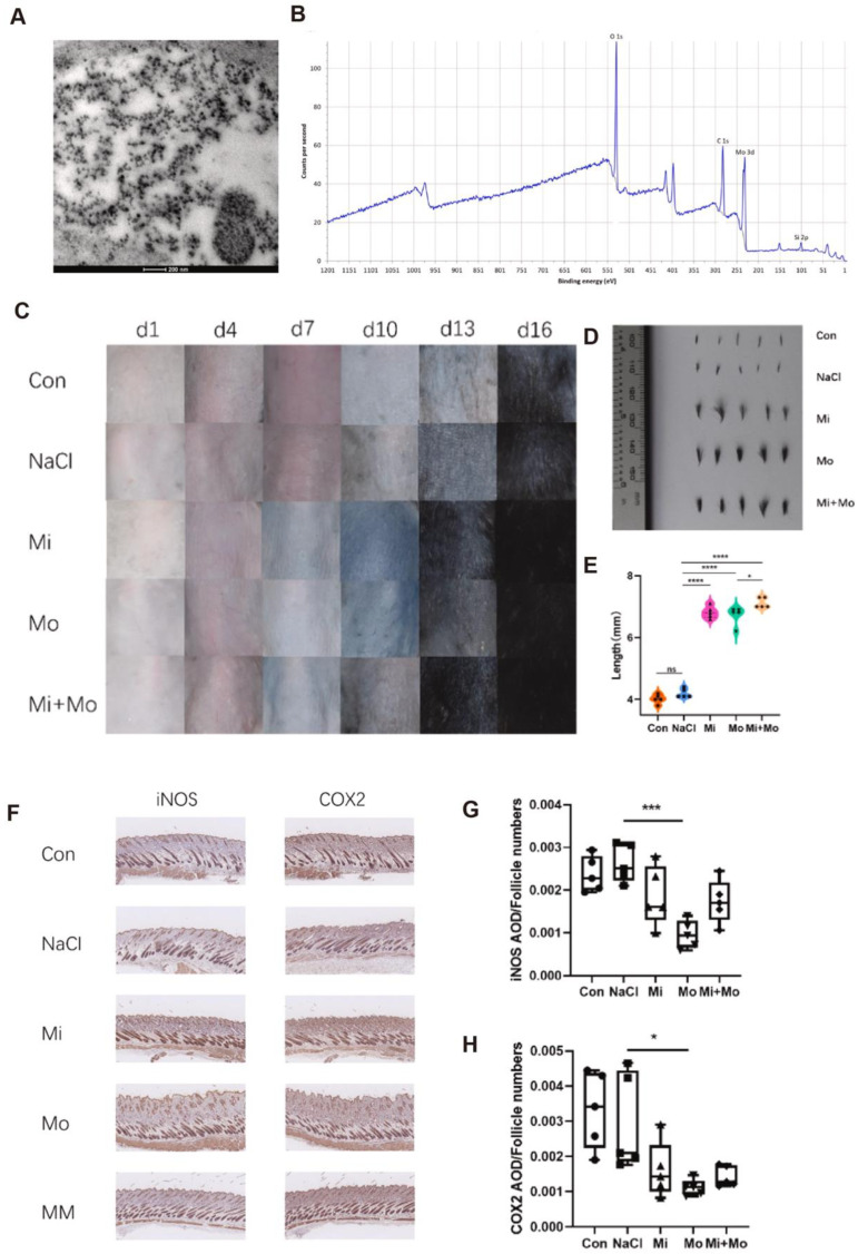 Applications of Antioxidant Nanoparticles in Immune-Mediated Inflammatory Diseases.